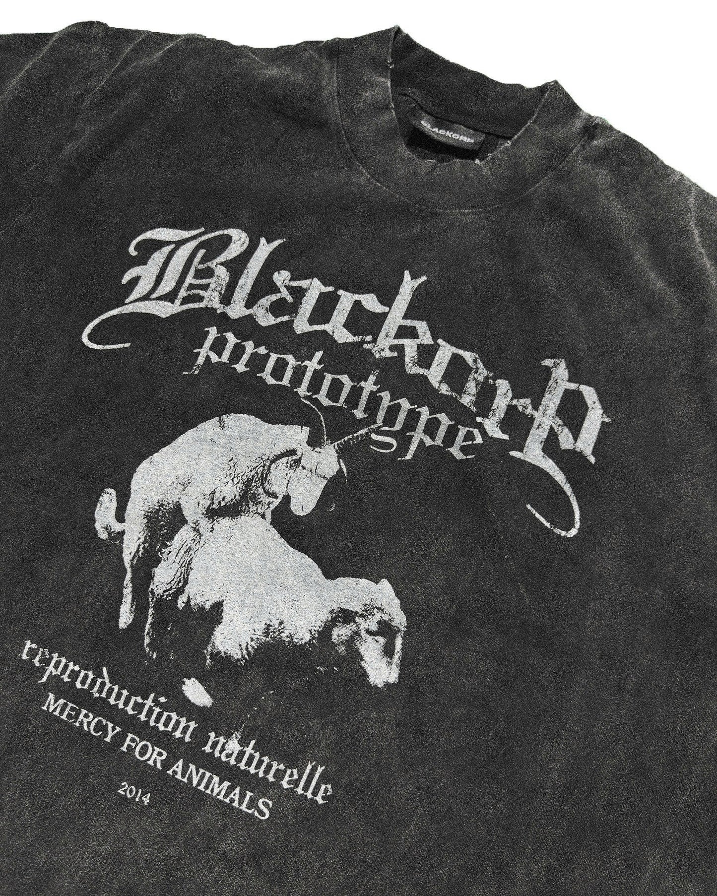 MFA t-Shirts